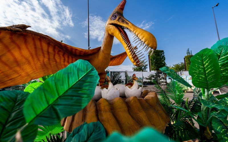Călătorie în preistoric, la Iulius Mall Cluj. Vino să descoperi expozția de dinozauri și plante carnivore!