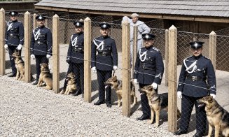 Poliția municipiului Cluj-Napoca în perioada interbelică